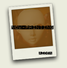 unfinished polaroid-style photograph of a bald, wigless, unpainted doll head; the words 